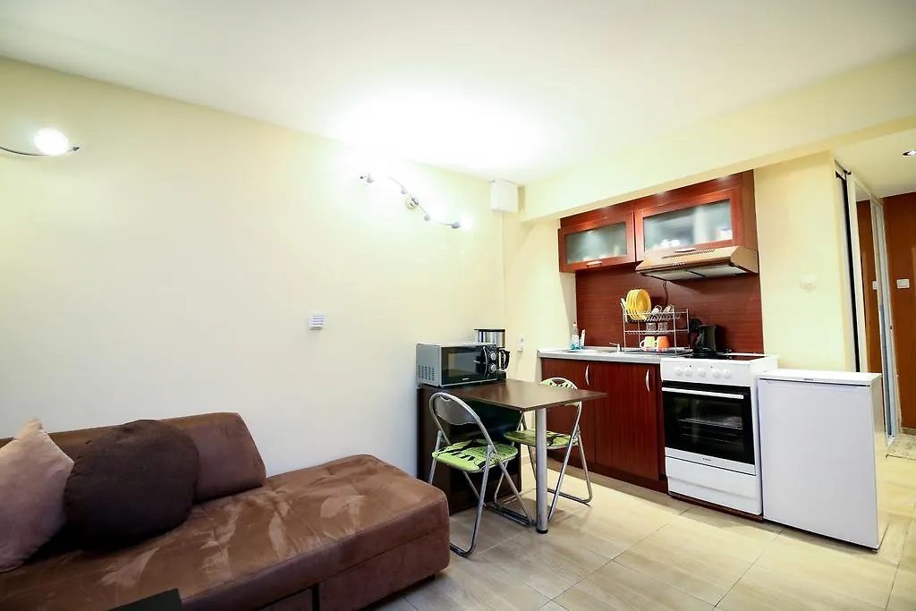 Sauna At Home Ndk Apartment ソフィア 0*,