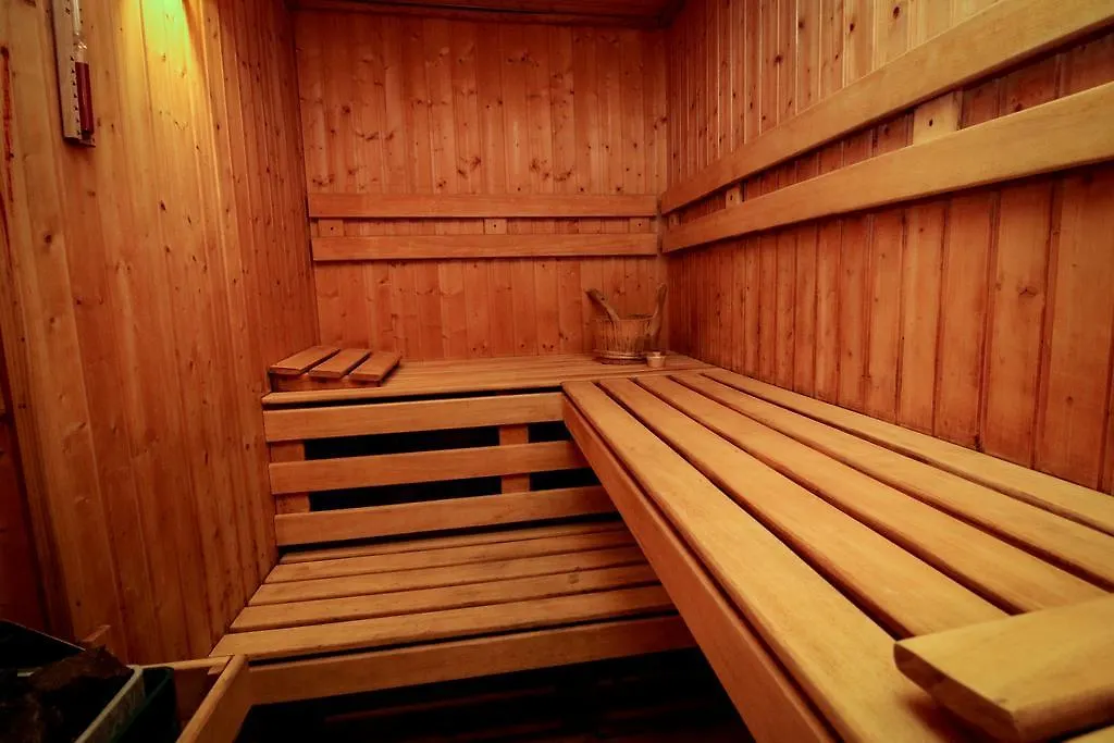 Sauna At Home Ndk Apartment ソフィア